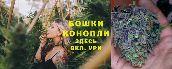бутират Арсеньев