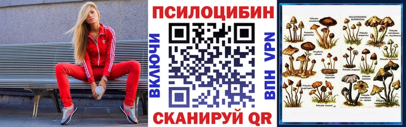 Галлюциногенные грибы MAGIC MUSHROOMS Покровск
